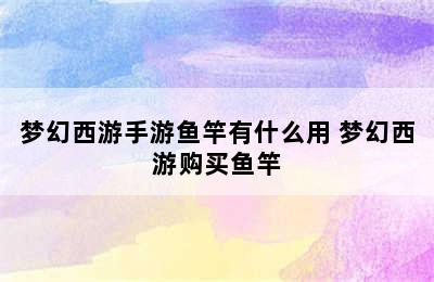 梦幻西游手游鱼竿有什么用 梦幻西游购买鱼竿